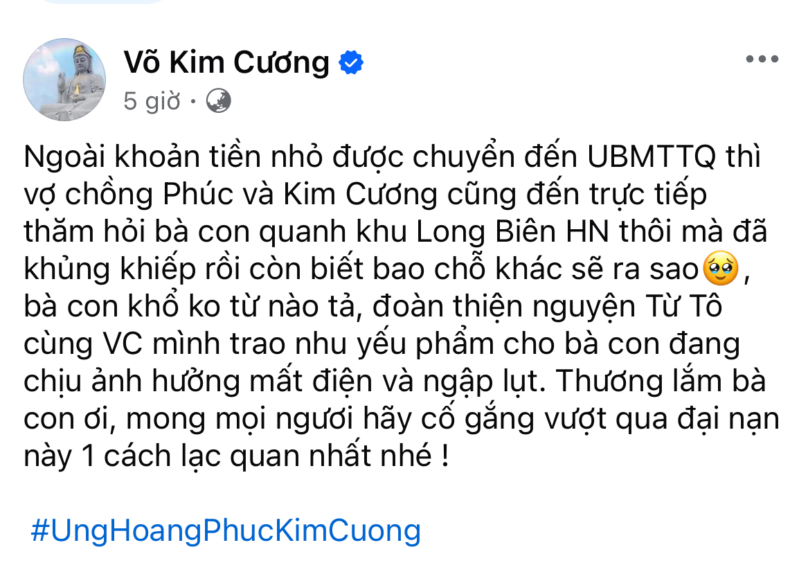 Quế Vân và vợ chồng Ưng Hoàng Phúc bị chỉ trích khi đi cứu trợ... giữa trung tâm Hà Nội- Ảnh 2.